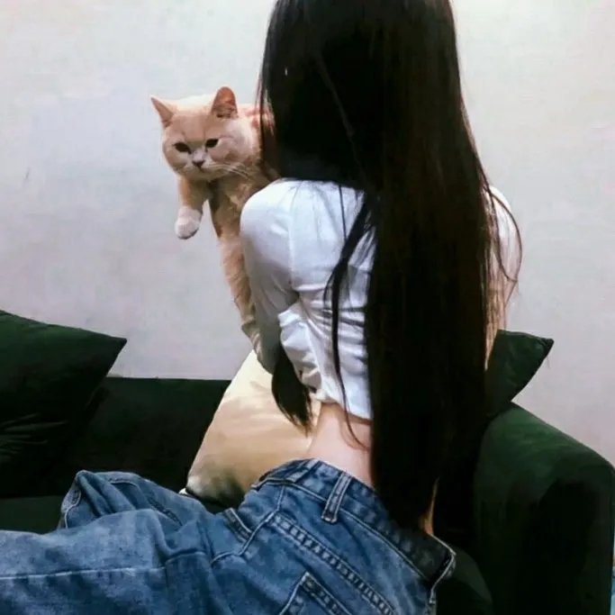 全员射杀